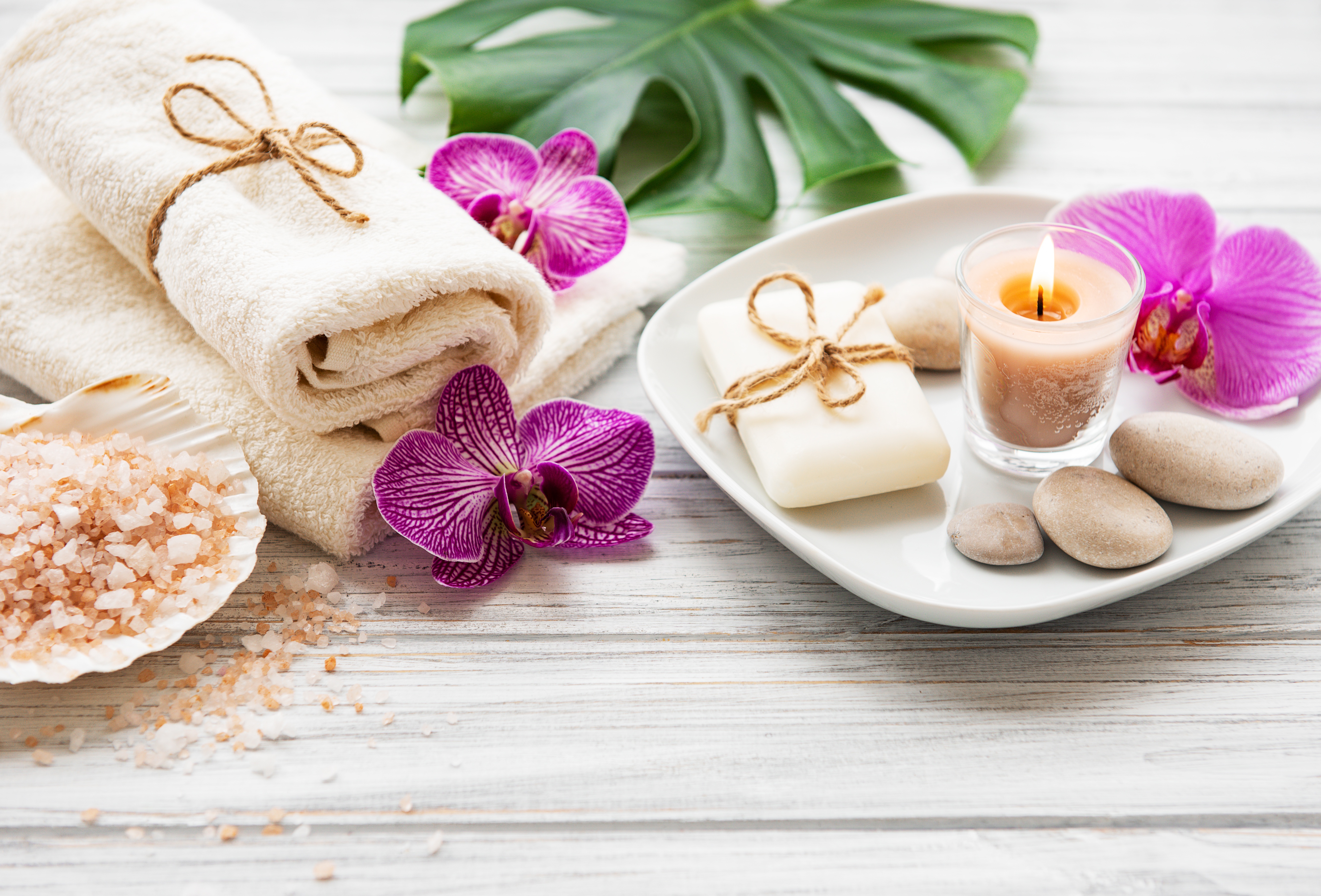 spa banner